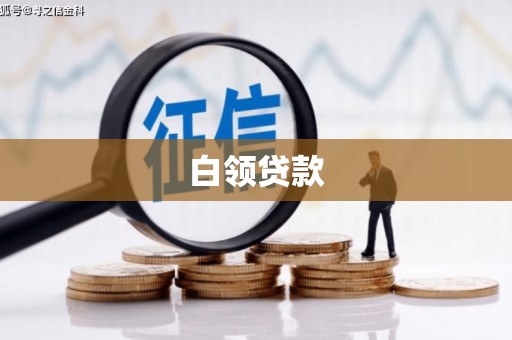 嵩县白领贷款