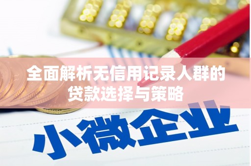 嵩县全面解析无信用记录人群的贷款选择与策略