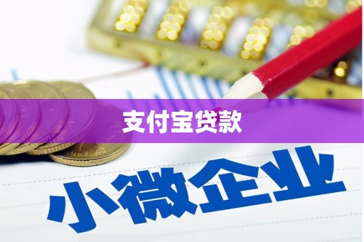 嵩县支付宝贷款
