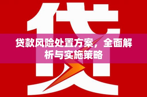 嵩县贷款风险处置方案，全面解析与实施策略