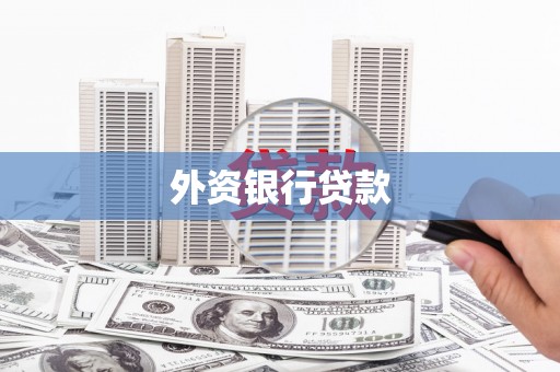 嵩县外资银行贷款
