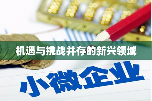 嵩县机遇与挑战并存的新兴领域