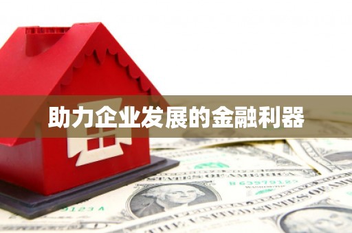 嵩县助力企业发展的金融利器