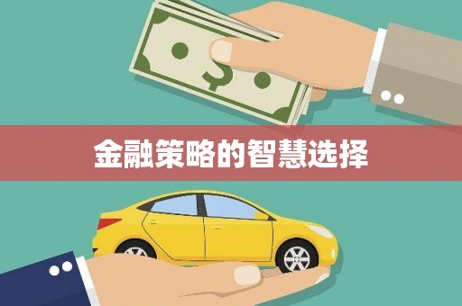 嵩县金融策略的智慧选择