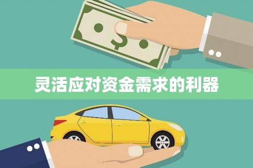 嵩县灵活应对资金需求的利器