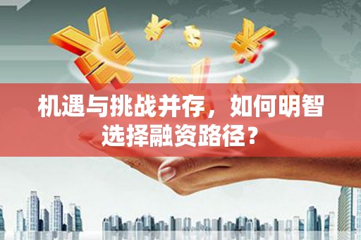 嵩县机遇与挑战并存，如何明智选择融资路径？