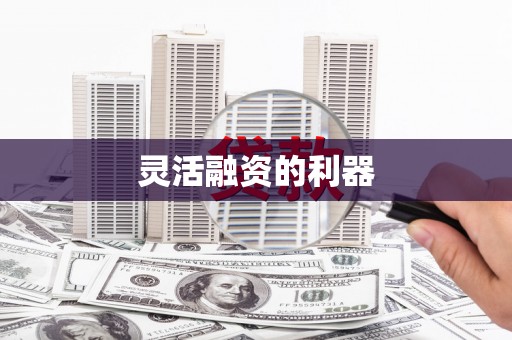 嵩县灵活融资的利器