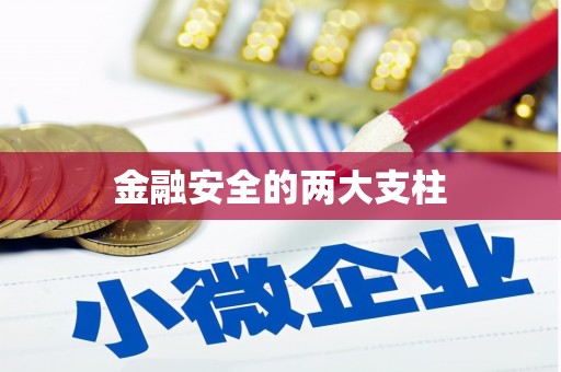 嵩县金融安全的两大支柱