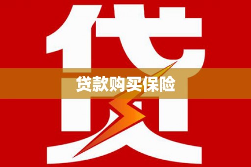 嵩县贷款购买保险