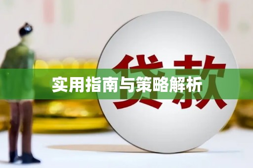 嵩县实用指南与策略解析
