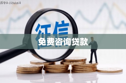 嵩县免费咨询贷款