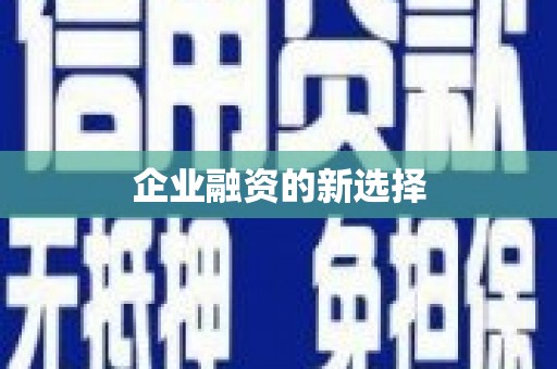 嵩县企业融资的新选择