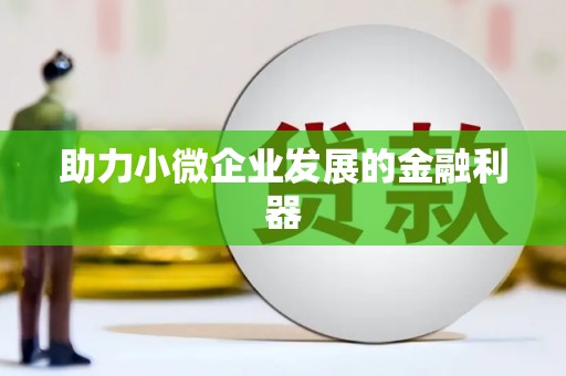 嵩县助力小微企业发展的金融利器
