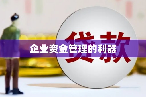 嵩县企业资金管理的利器