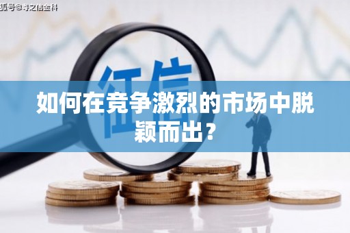嵩县如何在竞争激烈的市场中脱颖而出？