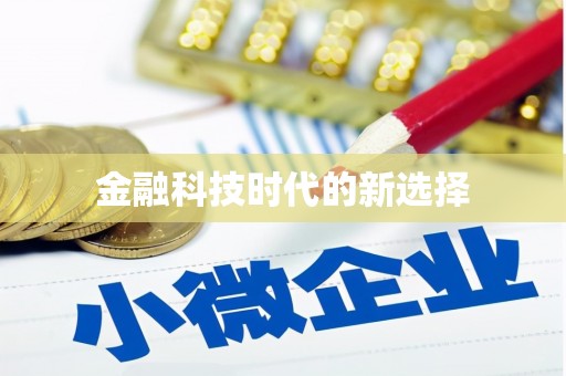 嵩县金融科技时代的新选择