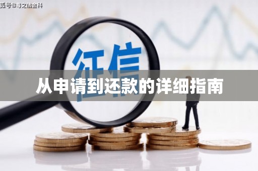 嵩县从申请到还款的详细指南