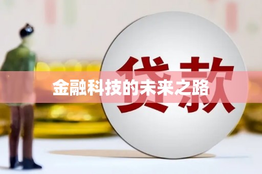 嵩县金融科技的未来之路