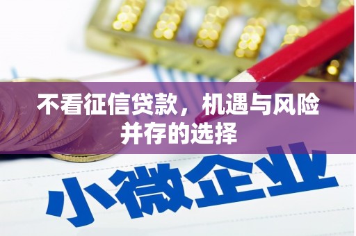 嵩县不看征信贷款，机遇与风险并存的选择