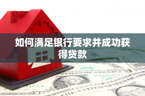 嵩县如何满足银行要求并成功获得贷款