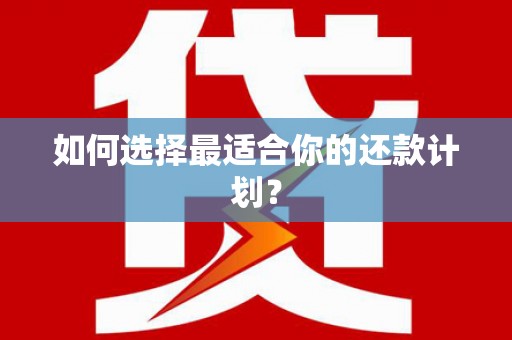 嵩县如何选择最适合你的还款计划？