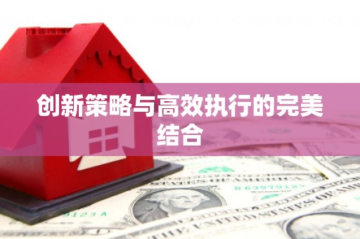 嵩县创新策略与高效执行的完美结合