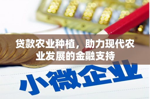 嵩县贷款农业种植，助力现代农业发展的金融支持