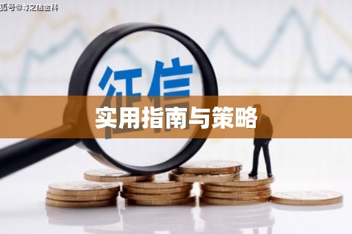 嵩县实用指南与策略