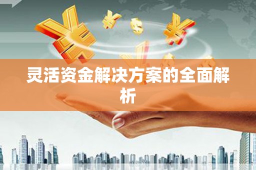 嵩县灵活资金解决方案的全面解析