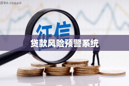 嵩县贷款风险预警系统