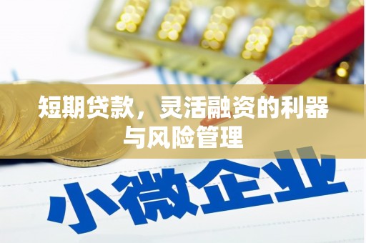 嵩县短期贷款，灵活融资的利器与风险管理