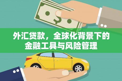 嵩县外汇贷款，全球化背景下的金融工具与风险管理