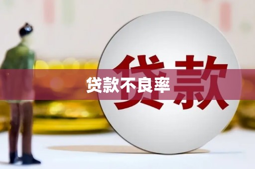嵩县贷款不良率