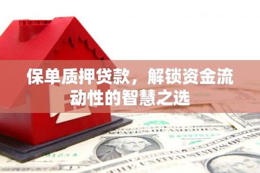 嵩县保单质押贷款，解锁资金流动性的智慧之选