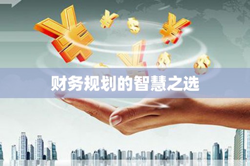 嵩县财务规划的智慧之选