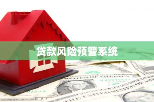 嵩县贷款风险预警系统