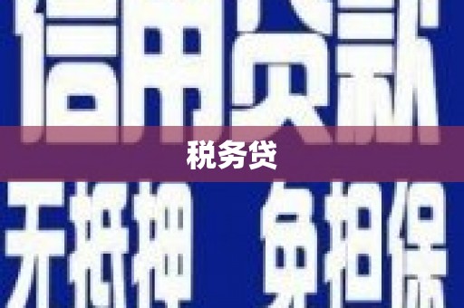嵩县税务贷